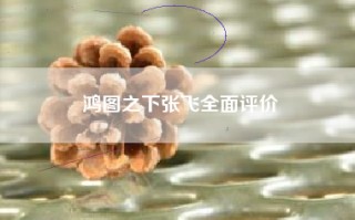 鸿图之下张飞全面评价