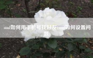 soul如何用手机号找好友(soul如何设置问题)