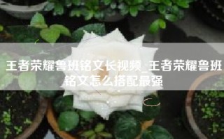 王者荣耀鲁班铭文长视频_王者荣耀鲁班铭文怎么搭配最强