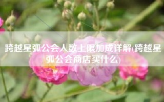 跨越星弧公会人数上限加成详解(跨越星弧公会商店买什么)