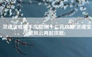 灵魂宝戒新手攻略,附十二宫攻略(灵魂宝戒风云再起攻略)