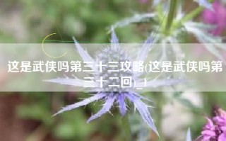 这是武侠吗第三十三攻略(这是武侠吗第三十二回)_1