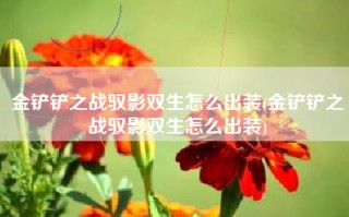 金铲铲之战驭影双生怎么出装(金铲铲之战驭影双生怎么出装)