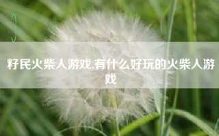 籽民火柴人游戏,有什么好玩的火柴人游戏