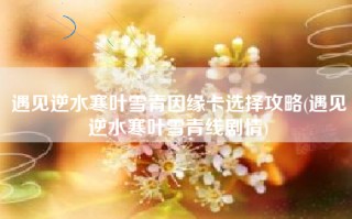 遇见逆水寒叶雪青因缘卡选择攻略(遇见逆水寒叶雪青线剧情)