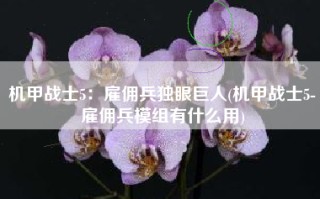 机甲战士5：雇佣兵独眼巨人(机甲战士5-雇佣兵模组有什么用)