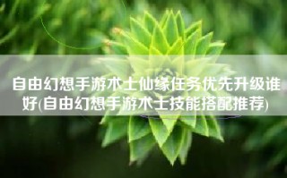 自由幻想手游术士仙缘任务优先升级谁好(自由幻想手游术士技能搭配推荐)