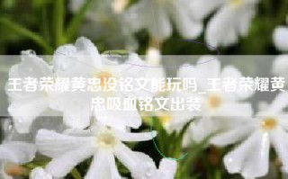 王者荣耀黄忠没铭文能玩吗_王者荣耀黄忠吸血铭文出装