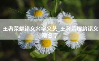 王者荣耀铭文名字文艺_王者荣耀给铭文取名字