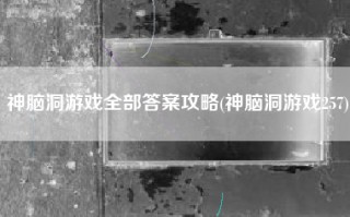 神脑洞游戏全部答案攻略(神脑洞游戏257)