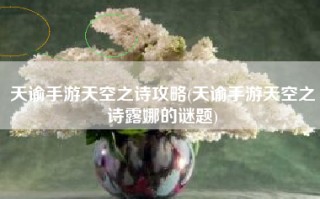 天谕手游天空之诗攻略(天谕手游天空之诗露娜的谜题)