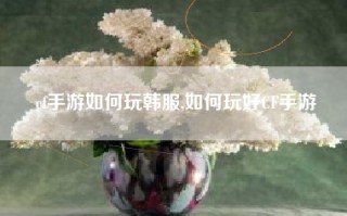 cf手游如何玩韩服,如何玩好CF手游