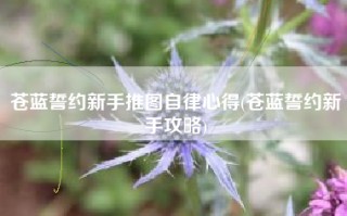 苍蓝誓约新手推图自律心得(苍蓝誓约新手攻略)