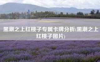黑潮之上红桃子专属卡牌分析(黑潮之上红桃子图片)