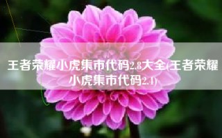 王者荣耀小虎集市代码2.8大全(王者荣耀小虎集市代码2.4)