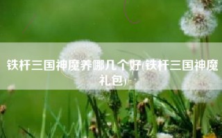 铁杆三国神魔养哪几个好(铁杆三国神魔礼包)