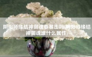 阴阳师缘结神御魂要暴击吗(阴阳师缘结神御魂堆什么属性)