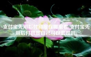 支付宝先用后付额度在哪里看(支付宝先用后付额度自己可以套现吗)