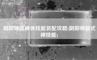阴阳师灵神体技能装配攻略(阴阳师新式神技能)