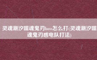 灵魂潮汐噬魂鬼刃boss怎么打(灵魂潮汐噬魂鬼刃感电队打法)