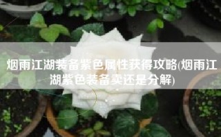 烟雨江湖装备紫色属性获得攻略(烟雨江湖紫色装备卖还是分解)
