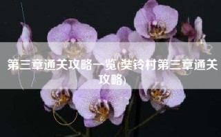 第三章通关攻略一览(奘铃村第三章通关攻略)