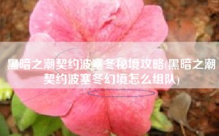 黑暗之潮契约波塞冬秘境攻略(黑暗之潮契约波塞冬幻境怎么组队)