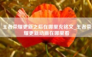王者荣耀更新之后在哪里充铭文_王者荣耀更新动画在哪里看