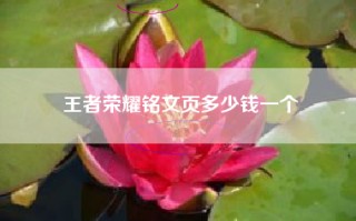王者荣耀铭文页多少钱一个