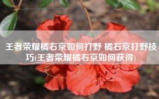 王者荣耀橘右京如何打野 橘右京打野技巧(王者荣耀橘右京如何获得)