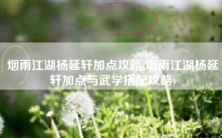 烟雨江湖杨延轩加点攻略(烟雨江湖杨延轩加点与武学搭配攻略)
