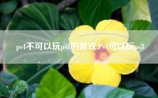 ps4不可以玩ps3的游戏,Ps4可以玩ps3