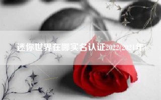 迷你世界在哪实名认证2022(2021年)