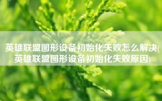 英雄联盟图形设备初始化失败怎么解决(英雄联盟图形设备初始化失败原因)