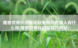 魔兽世界怀旧服诺兹多姆的代理人有什么用(魔兽世界怀旧服官方网站)