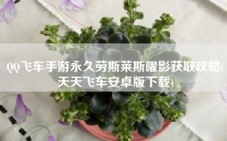 QQ飞车手游永久劳斯莱斯曜影获取攻略(天天飞车安卓版下载)
