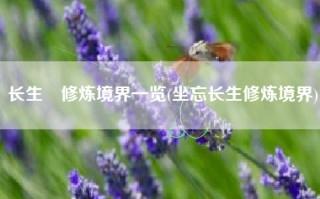 长生箓修炼境界一览(坐忘长生修炼境界)