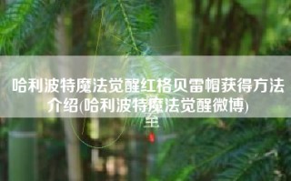 哈利波特魔法觉醒红格贝雷帽获得方法介绍(哈利波特魔法觉醒微博)