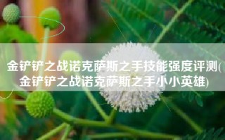 金铲铲之战诺克萨斯之手技能强度评测(金铲铲之战诺克萨斯之手小小英雄)