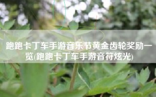 跑跑卡丁车手游音乐节黄金齿轮奖励一览(跑跑卡丁车手游音符炫光)