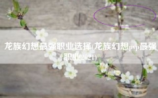 龙族幻想最强职业选择(龙族幻想pvp最强职业2021)