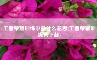 王者荣耀训练中是什么意思(王者荣耀训练营下载)