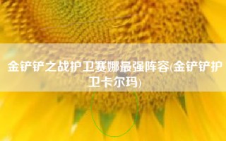 金铲铲之战护卫赛娜最强阵容(金铲铲护卫卡尔玛)