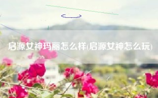 启源女神玛丽怎么样(启源女神怎么玩)