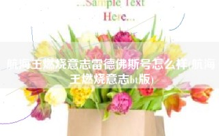 航海王燃烧意志雷德佛斯号怎么样(航海王燃烧意志bt版)