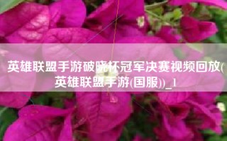 英雄联盟手游破晓杯冠军决赛视频回放(英雄联盟手游(国服))_1