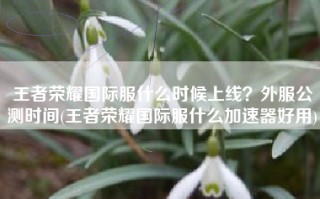 王者荣耀国际服什么时候上线？外服公测时间(王者荣耀国际服什么加速器好用)