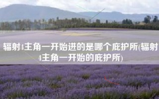 辐射4主角一开始进的是哪个庇护所(辐射4主角一开始的庇护所)
