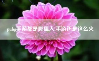 pubg手游都是哪里人,手游还是这么火