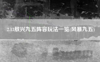 2.13敖兴九五阵容玩法一览(风暴九五)